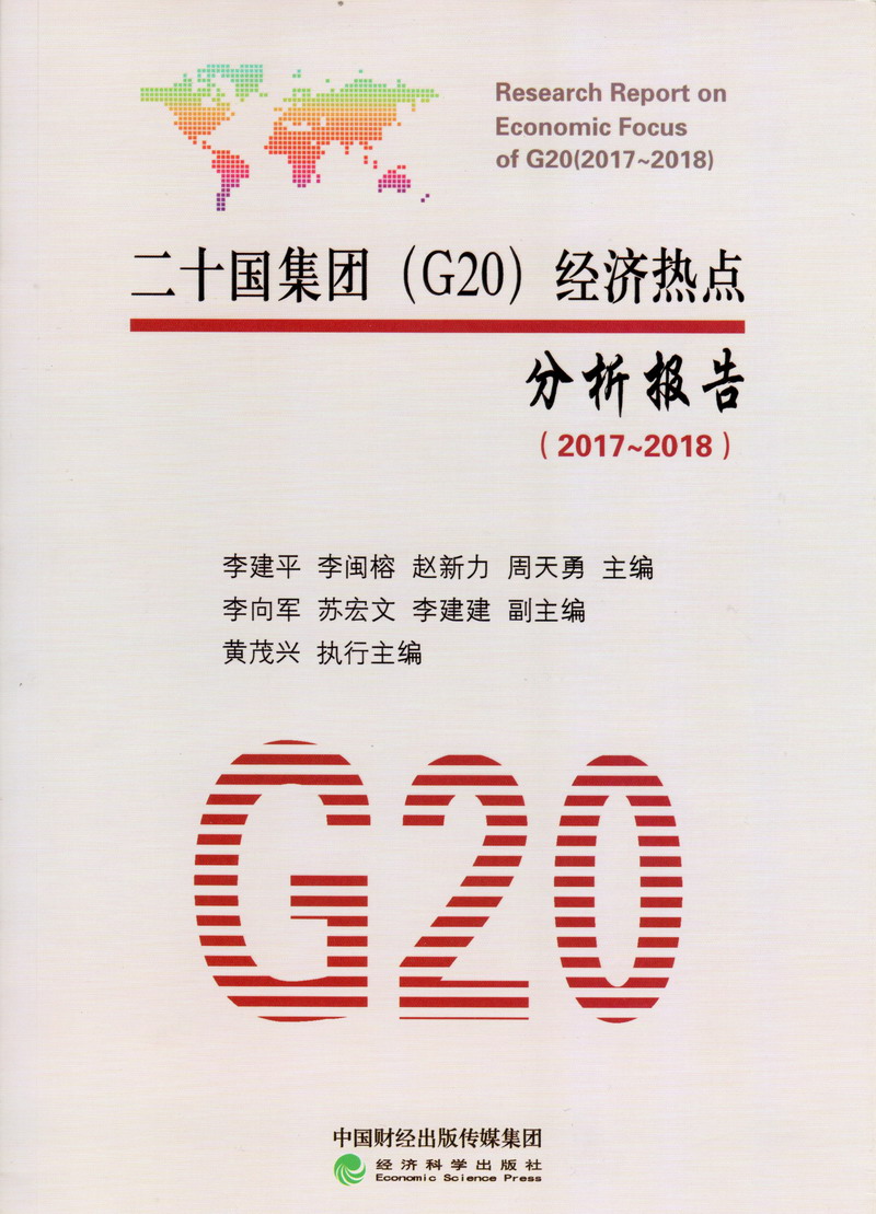 回族少妇啊啊啊视频在线观看二十国集团（G20）经济热点分析报告（2017-2018）