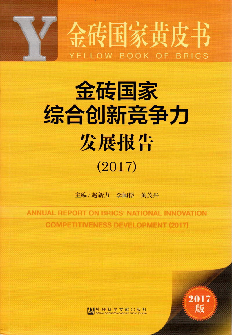 鸡吧操逼的视频金砖国家综合创新竞争力发展报告（2017）